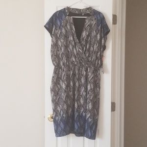 Size 3x Dress